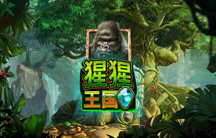 港澳宝典最新版808001